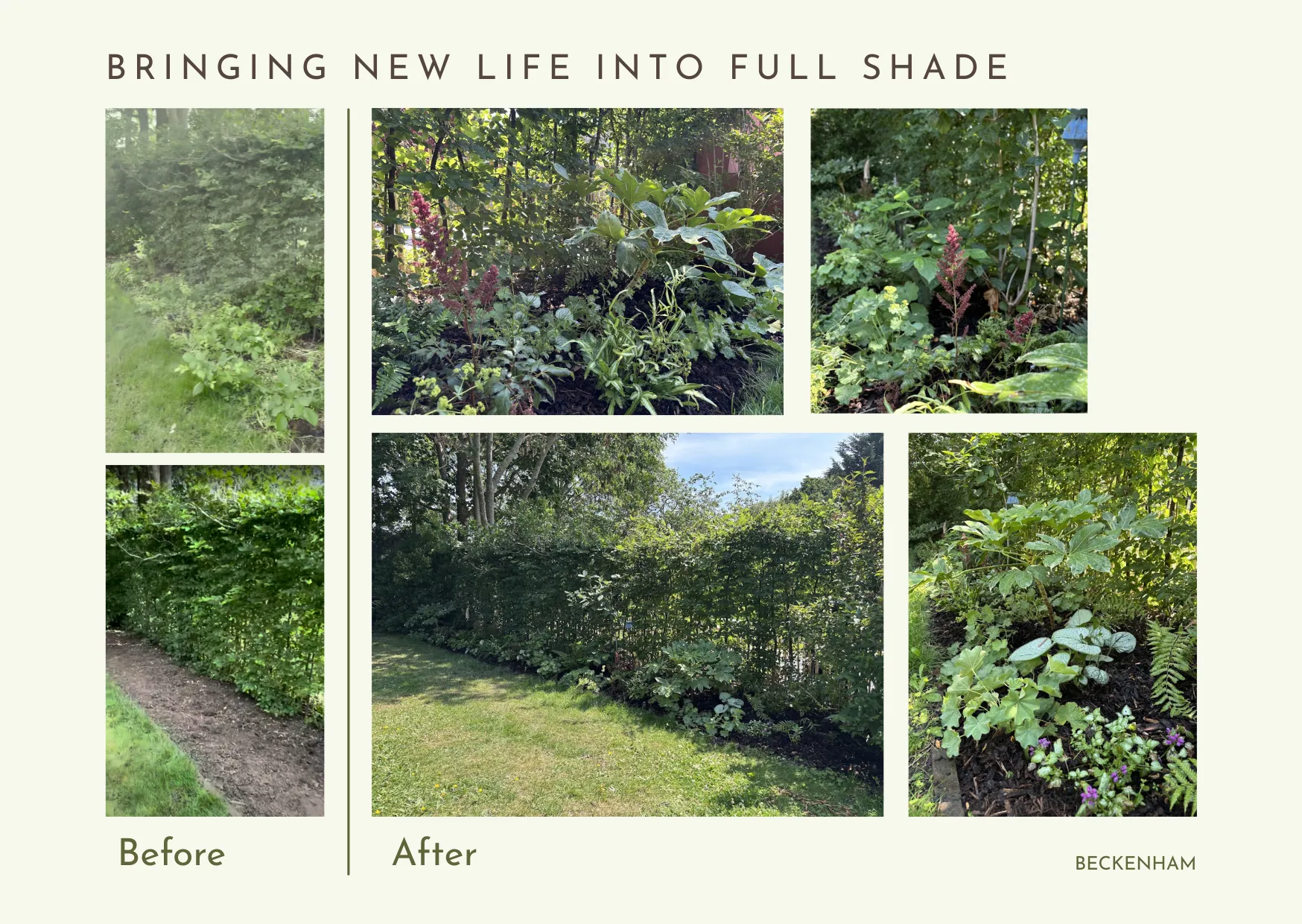 Bringing new life into full shade — a Beckenham garden transformation